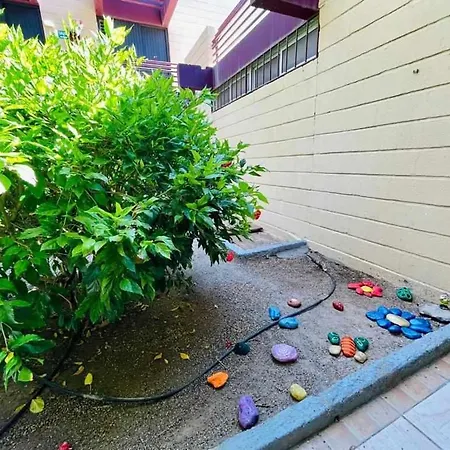 Apartament Brisa Marina Live Canarias *