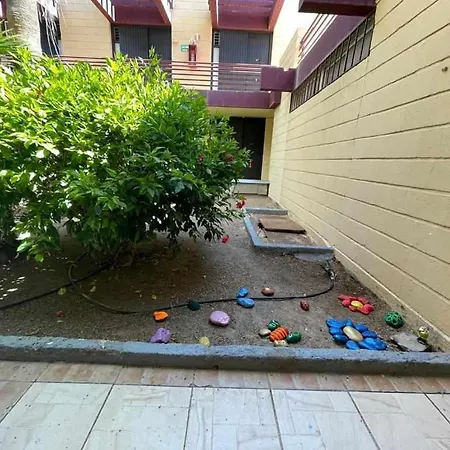 Brisa Marina Live Canarias