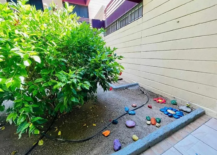 Apartman Brisa Marina Live Canarias *