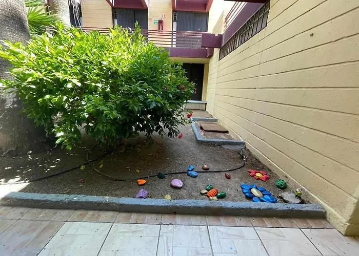 Brisa Marina Live Canarias